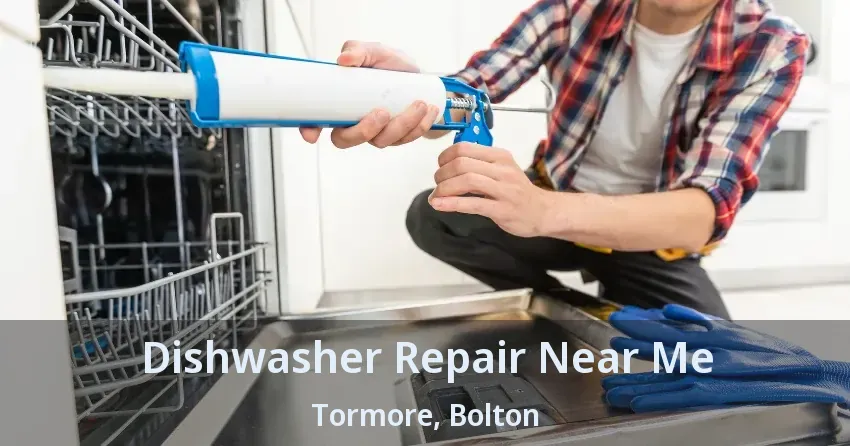 Dishwasher Repair Near Me Tormore, Bolton - ON