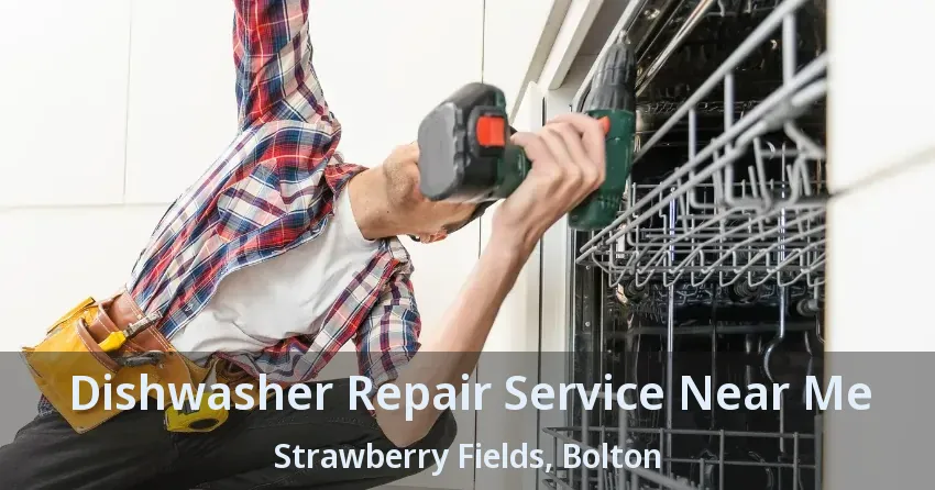 Dishwasher Repair Service Near Me Strawberry Fields, Bolton - ON
