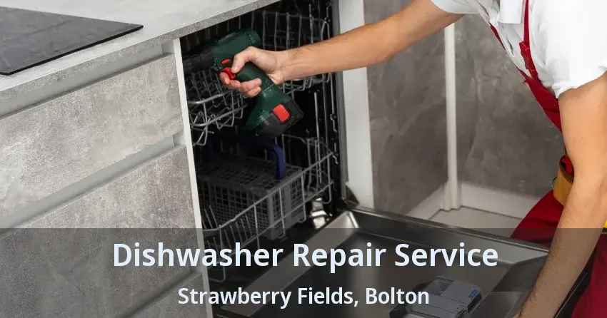 Dishwasher Repair Service Strawberry Fields, Bolton - ON