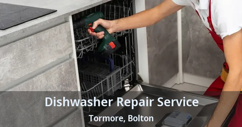 Dishwasher Repair Service Tormore, Bolton - ON