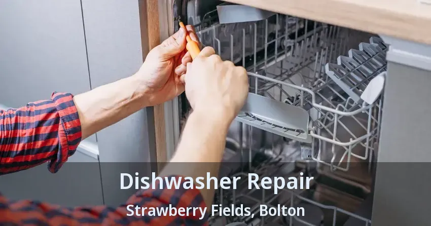Dishwasher Repair Strawberry Fields, Bolton - ON