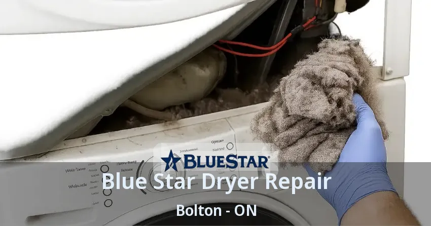Blue Star Dryer Repair Bolton - ON