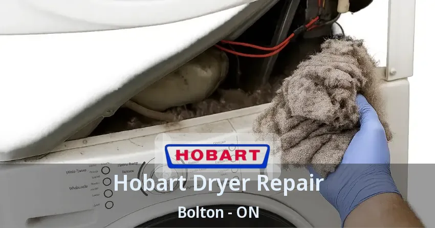 Hobart Dryer Repair Bolton - ON