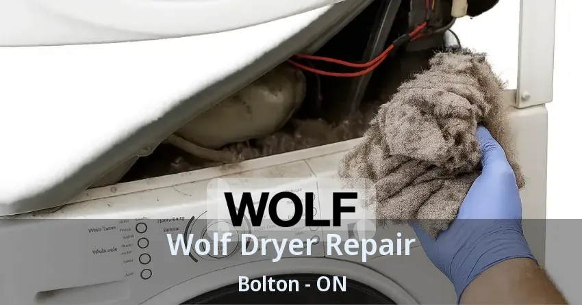 Wolf Dryer Repair Bolton - ON