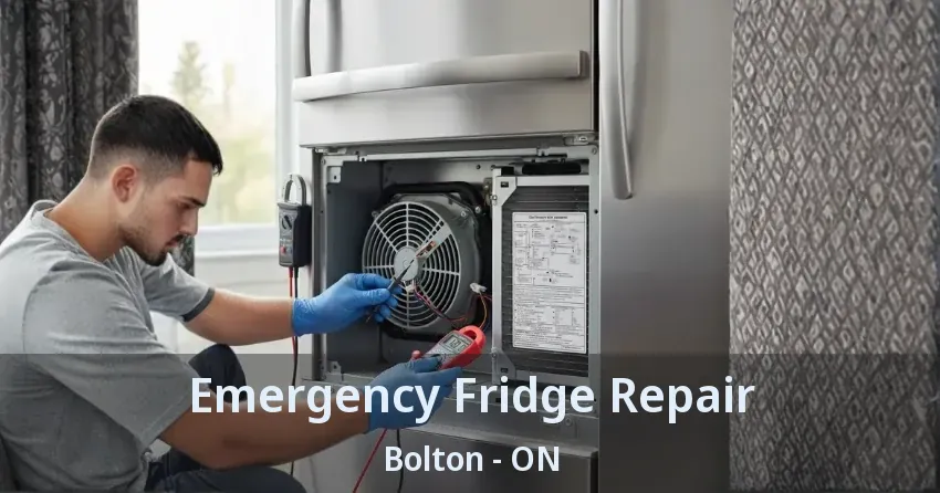 Emergency Fridge Repair Bolton - ON
