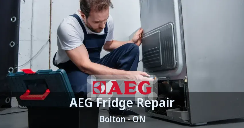 AEG Fridge Repair Bolton - ON
