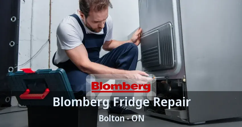 Blomberg Fridge Repair Bolton - ON