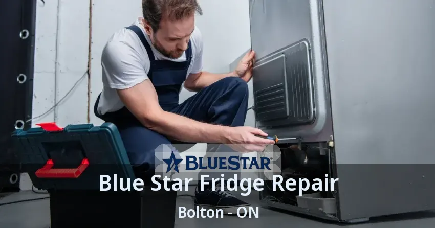 Blue Star Fridge Repair Bolton - ON