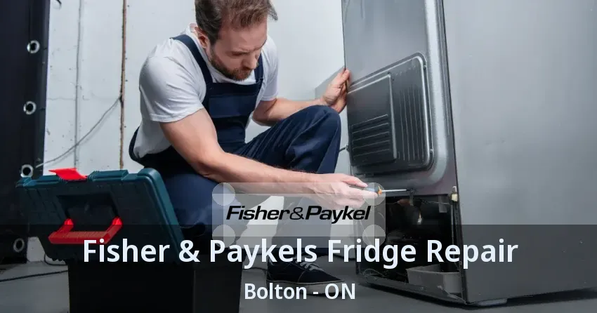 Fisher & Paykels Fridge Repair Bolton - ON
