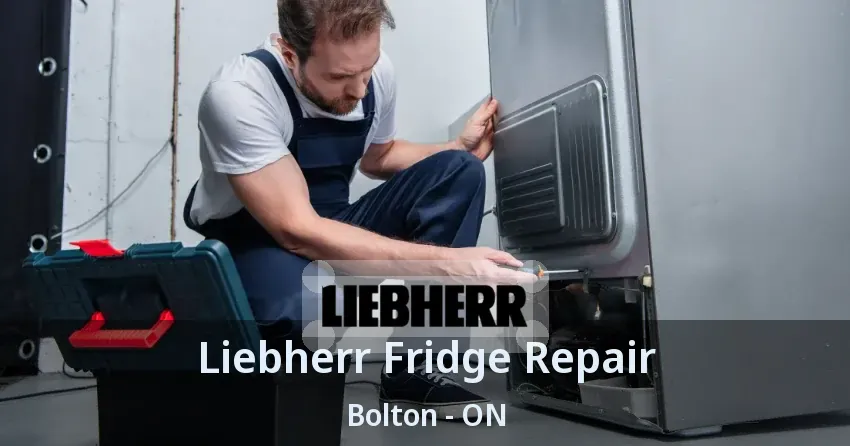 Liebherr Fridge Repair Bolton - ON