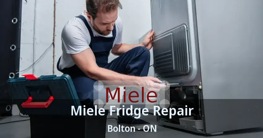 Miele Fridge Repair Bolton - ON
