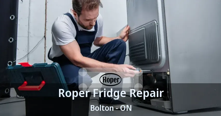 Roper Fridge Repair Bolton - ON