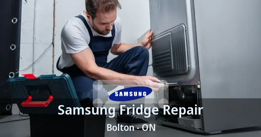 Samsung Fridge Repair Bolton - ON