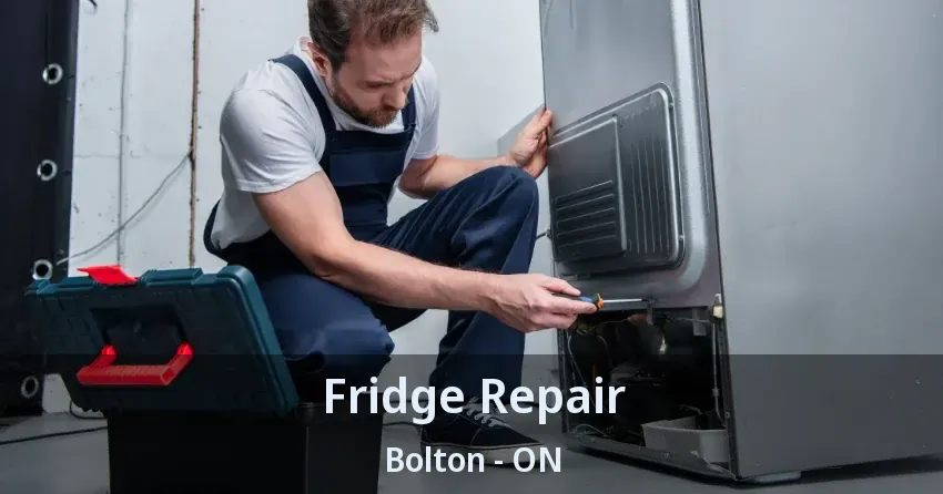 Fridge Repair Bolton - ON