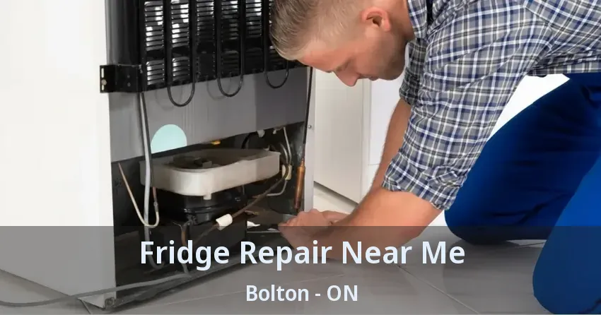 Fridge Repair Near Me Bolton - ON