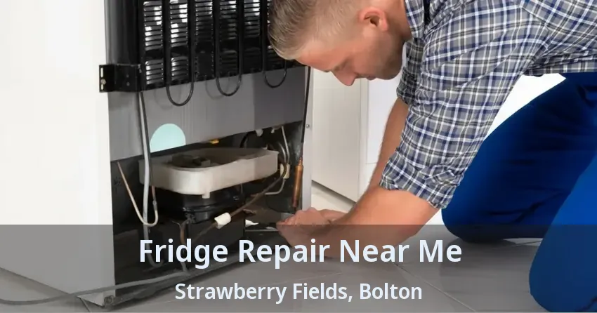 Fridge Repair Near Me Strawberry Fields, Bolton - ON