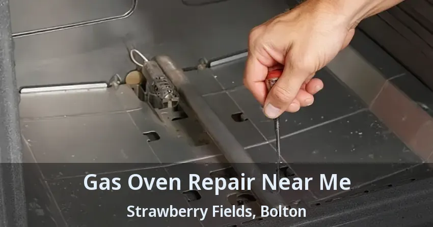 Gas Oven Repair Near Me Strawberry Fields, Bolton - ON