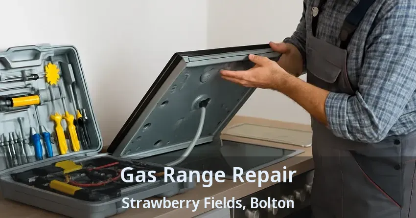 Gas Range Repair Strawberry Fields, Bolton - ON