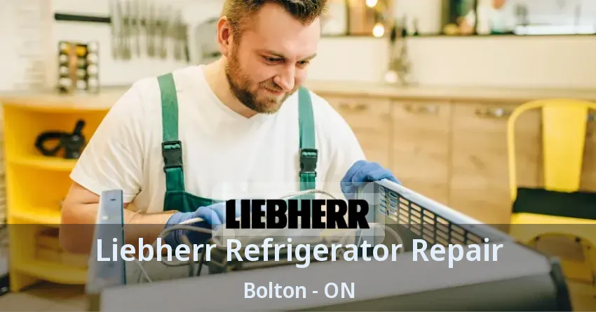 Liebherr Refrigerator Repair Bolton - ON