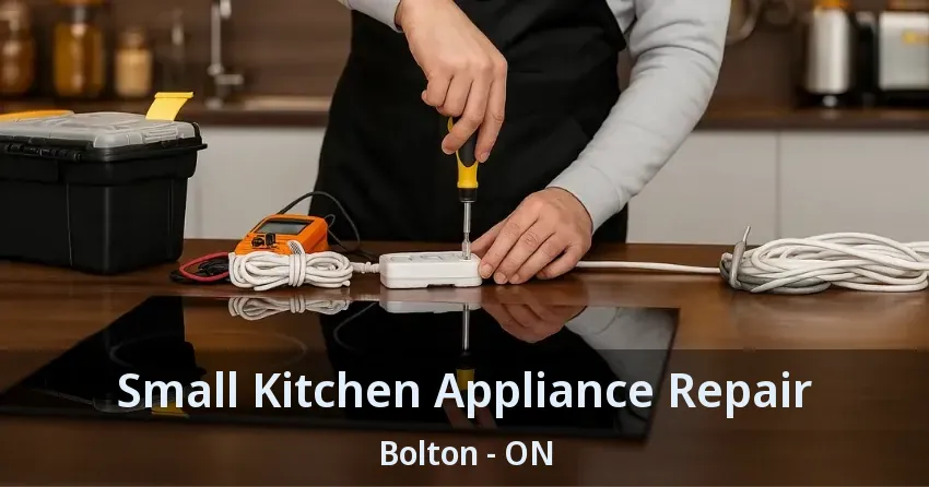 Small Kitchen Appliance Repair Bolton - ON