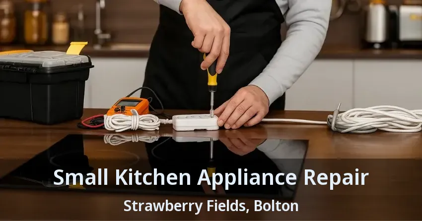 Small Kitchen Appliance Repair Strawberry Fields, Bolton - ON