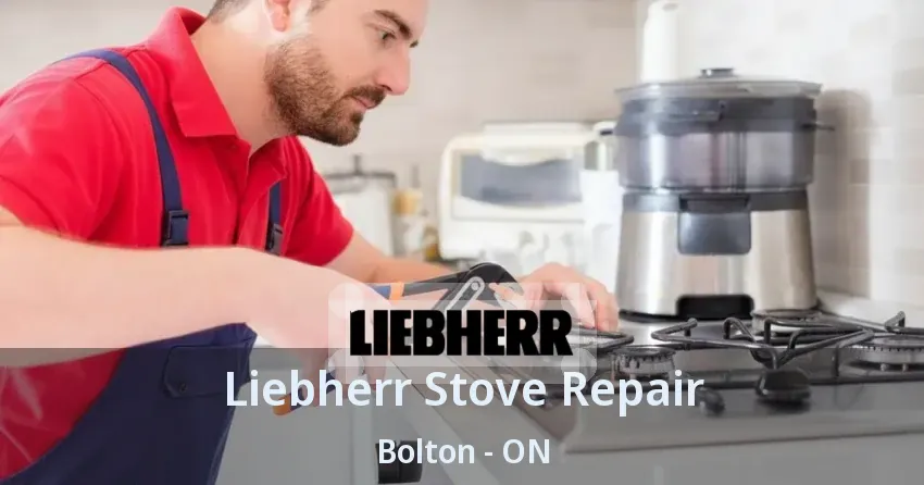 Liebherr Stove Repair Bolton - ON