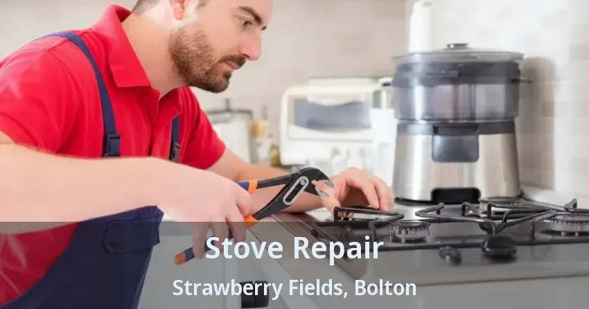 Stove Repair Strawberry Fields, Bolton - ON
