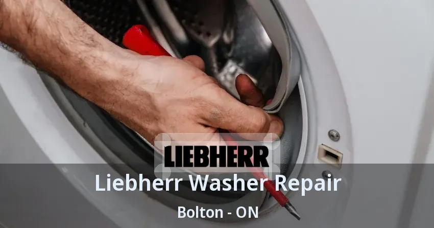 Liebherr Washer Repair Bolton - ON